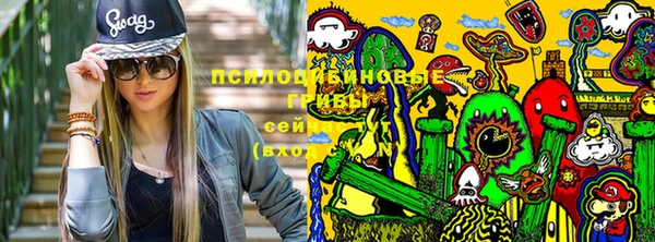 таблы Козловка