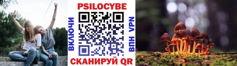 Псилоцибиновые грибы мицелий  Купить закладки  Гудермес 